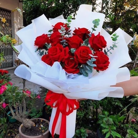 ورق تغليف بلاستيك