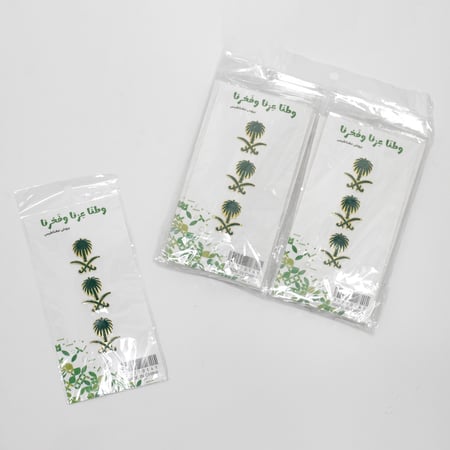 بروش مغناطيسي اليوم الوطني – النخلة والسيفين الأخضر والذهبي