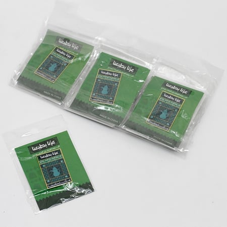 بروش اليوم الوطني السعودي – عزنا بطبعنا