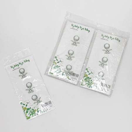 بروش مغناطيسي اليوم الوطني – النخلة والسيفين الأبيض والأخضر