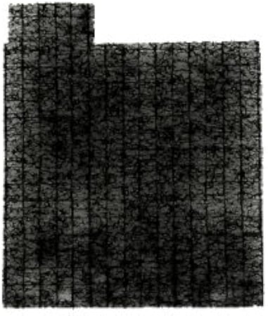 مرشح فلتر لمكنسة باناسونيك بطة أصلي PANASONIC ORIGINAL MC-CJ919