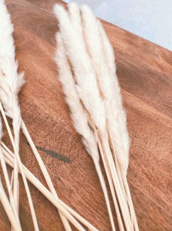 مجموعة اغصان بامباس صغير لون ابيض