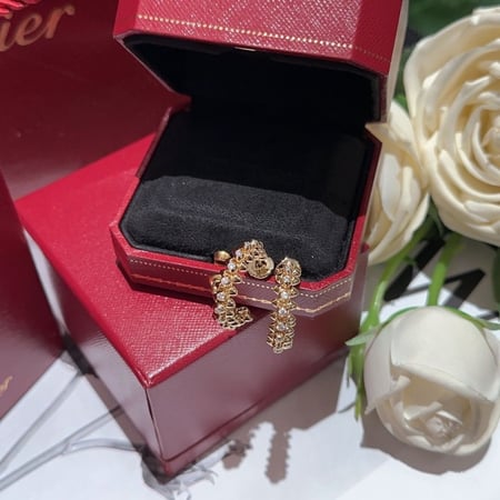 أقراط أذن كارتير