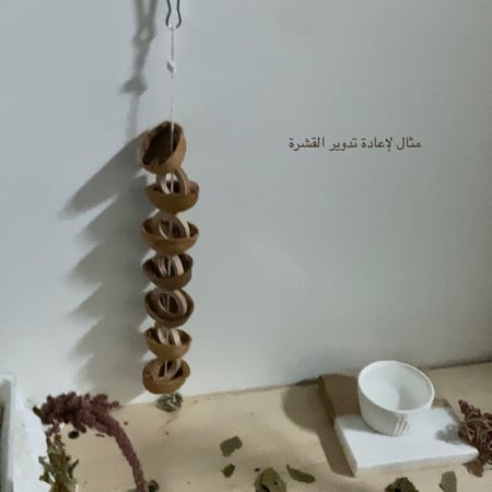 جوز عين الجمل