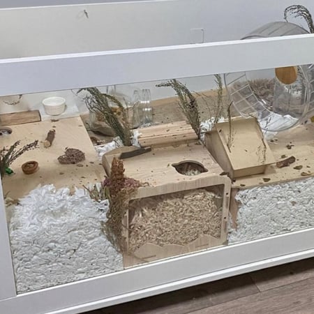 نشارة ورق لقفص الهامستر