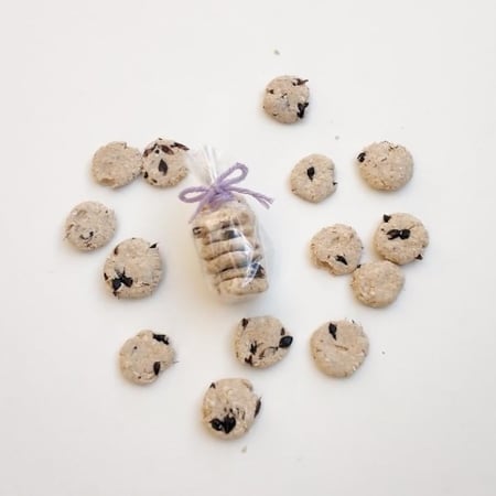 اكل الهامستر