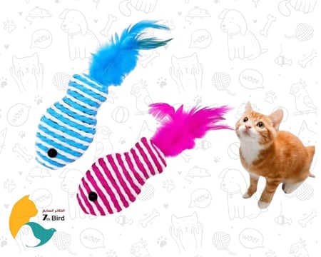 العاب وتسالي القطط من سيفن بيرد seven bird
