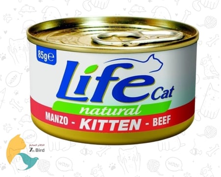 الطعام الرطب للقطط من لايف كات life cat