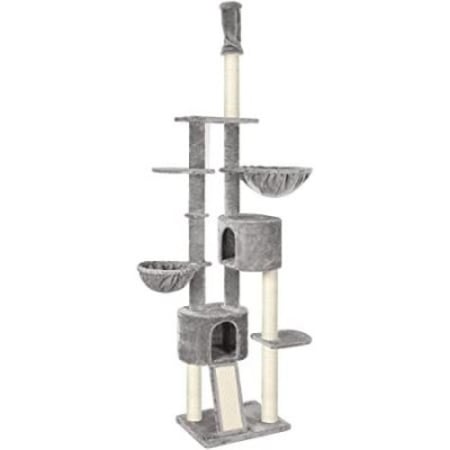 خداشة قطط حجم كبير