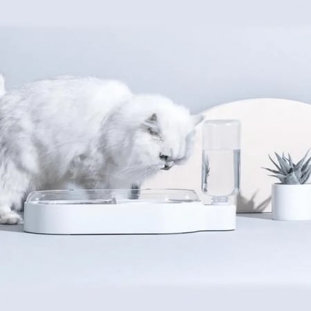 ماكلية ومشربية فاخرة ELSPET صحن مزدوج مع قارورة للقطط والكلاب