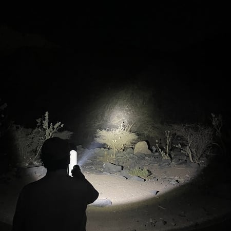 كشاف سفاري M550