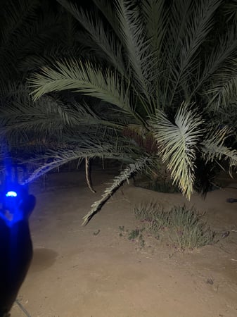 كشاف متعدد 3 الوان ابيض واصفر واحمر قوية جدا