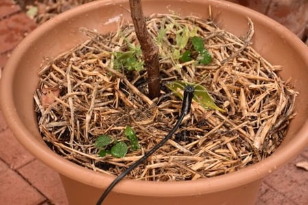 تايمر ديجيتال لتوقيت الري + لي بطول 30 متر مع جميع  ملحقاته