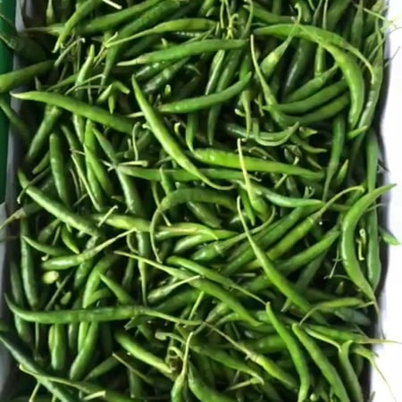 حار هندي كرتون