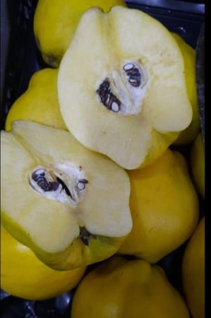 سفرجل تركي /صندوق