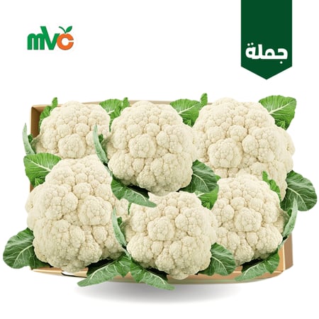 زهرة بلدي كرتون