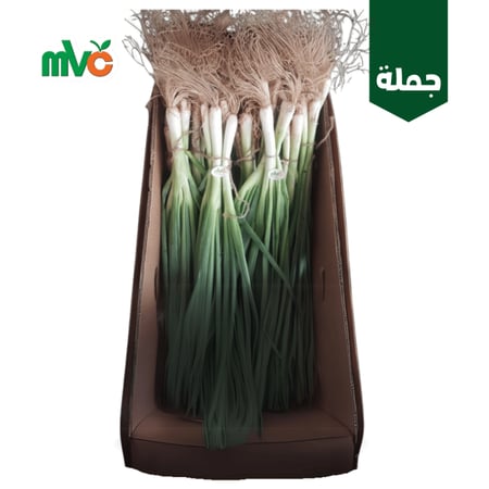 بصل اخضر كرتون 20 حبة