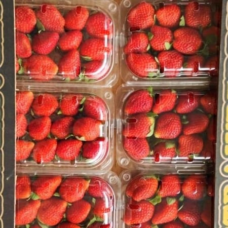 فراولة أردني /كرتون 10* 250 غ