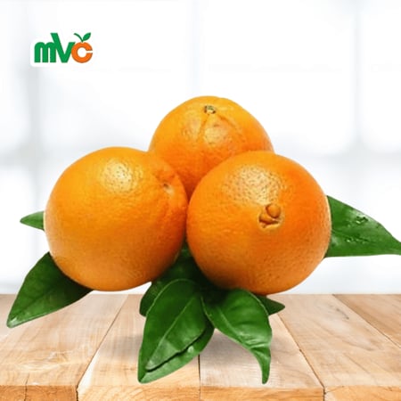 برتقال أبو صرة