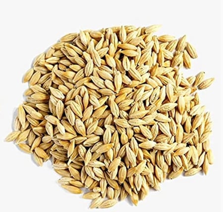 شعير بلدي 500 جرام