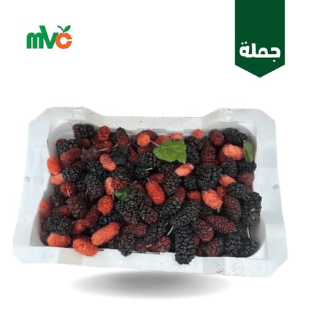 توت بلدي فلين بذزة شامية