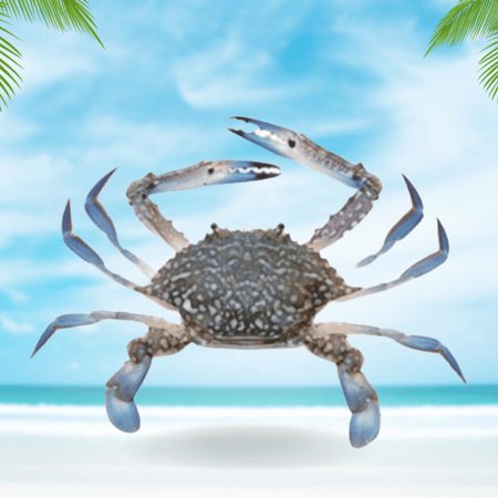 قبقب كابوريا محلي نصف كيلو