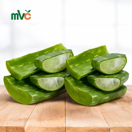 الوفيرا طازجة