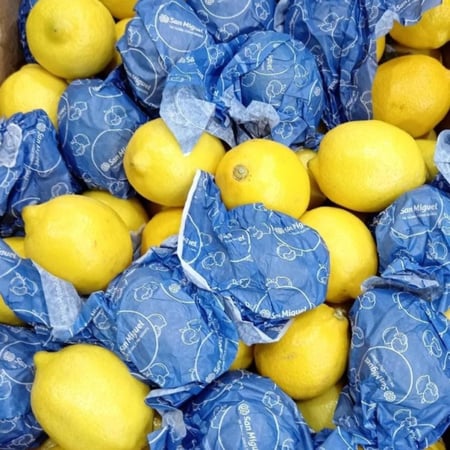 ليمون مستورد كرتون