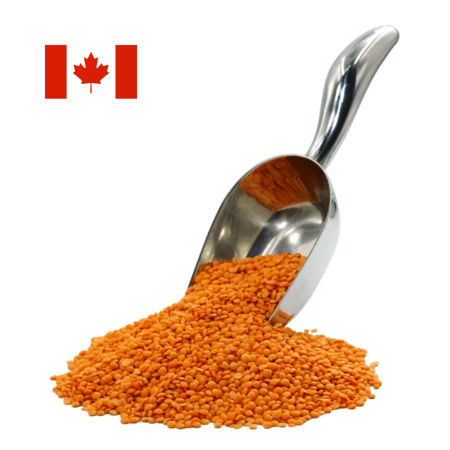 عدس أحمر كندي مجروش