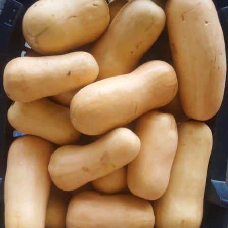 قرع أمريكي سلة