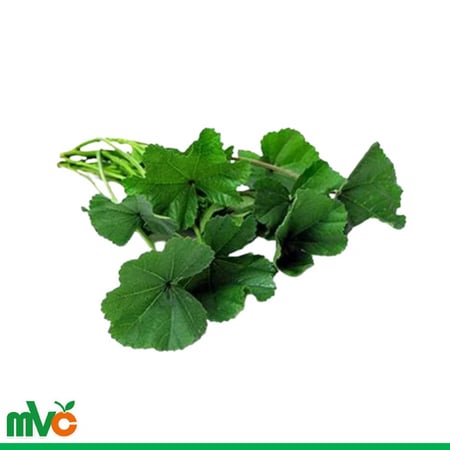 خبيزة سورية 1 ربطة