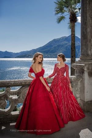 Beaded Tulle Long Sleeve Gown