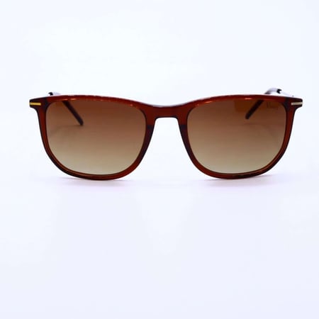 نظارة شمسية  من Vines موديل OLD1204