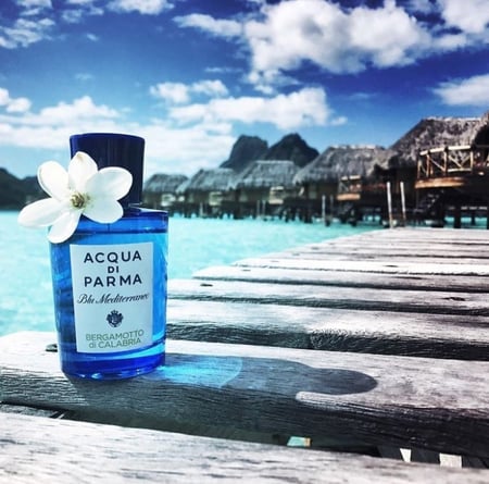 اكوا دي بارما بلو ميديترانيو بيرجاموتو دي كالابريا او دو تواليت 100 مل