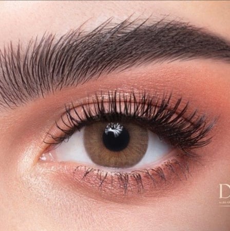 عدسات ذهب يومية فردتين كات اى