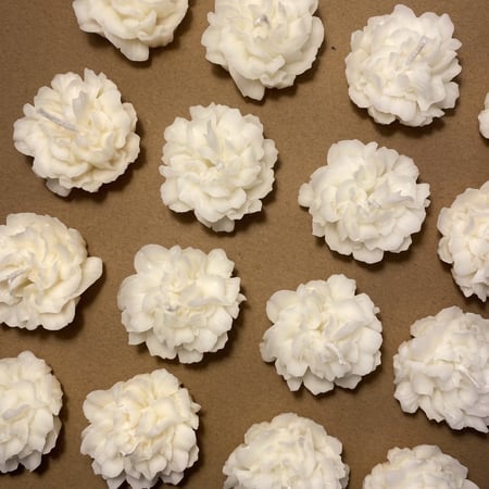 توزيعات شمعة كاميليا