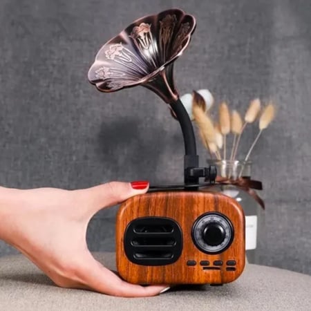 راديو محمول مع سماعة بلوتوث من دي ال سي