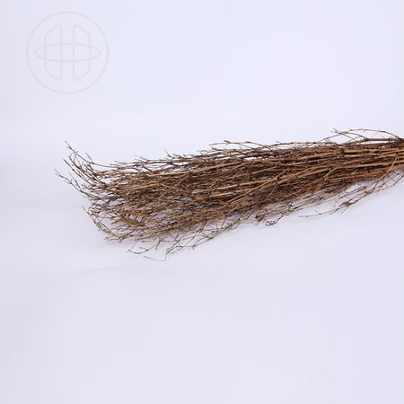 غصين طبيعي مجفف مع فروع لولبية طويلة - لون بني