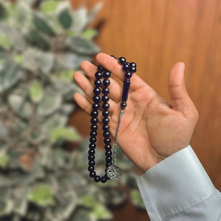 بكلايت بلجيكي اسود حرباء