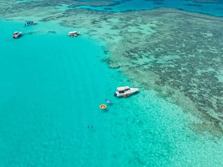 رحلة جزيرة بياضة