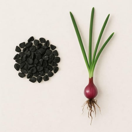 بذور - بصل احمر