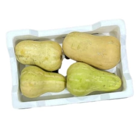 فلين قرع وسط