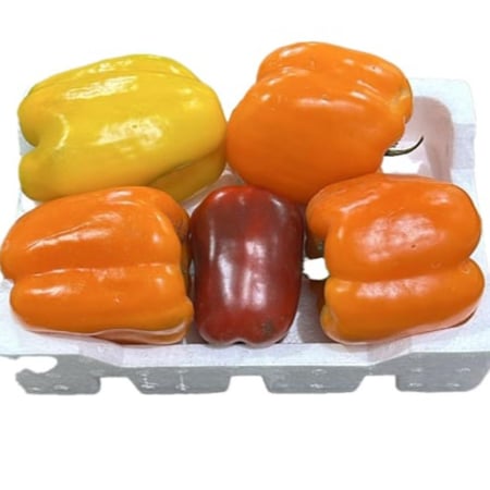 فلين فلفل بارد ملون وسط