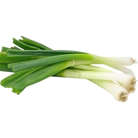 بصل اخضر