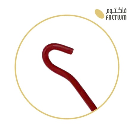 عصا عفريته المختصرة مقاس 22 سم