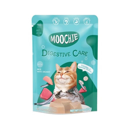 موتشي  طعام رطب للقطط دايجستيف كير بالأنشوجة | 70 غرام
