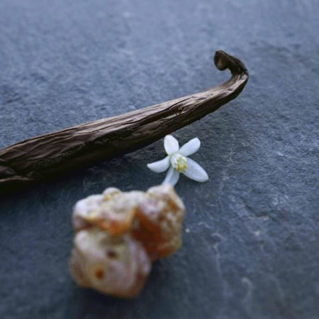 نوماد نوي ديجيبت - أو دو بارفان