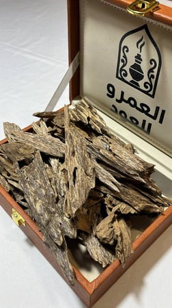 كلمنتان بونتيانك سوبر مرتفع