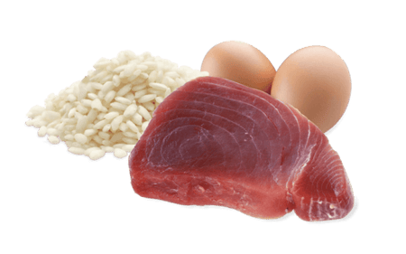 لايف كات طعام رطب بنكهة التونة للقطط الصغيرة