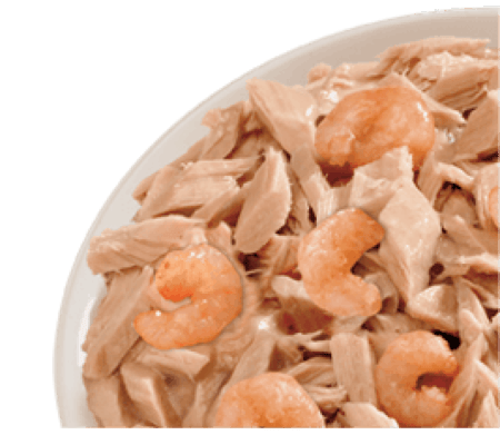 لايف كات طعام رطب بنكهة التونة والجمبري للقطط البالغة